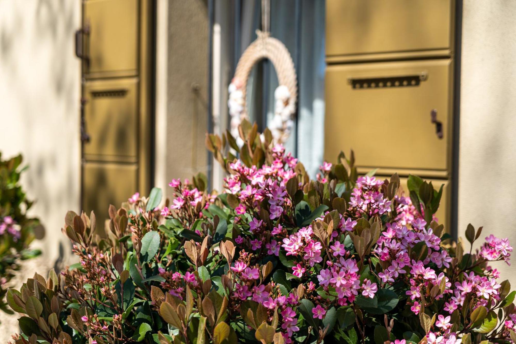 Casina Le Conserve Cesenatico Exterior photo